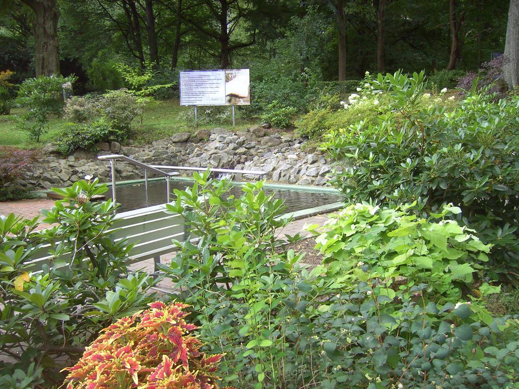 Harzburger Ferienwohnung Bad Harzburg Oda fotoğraf