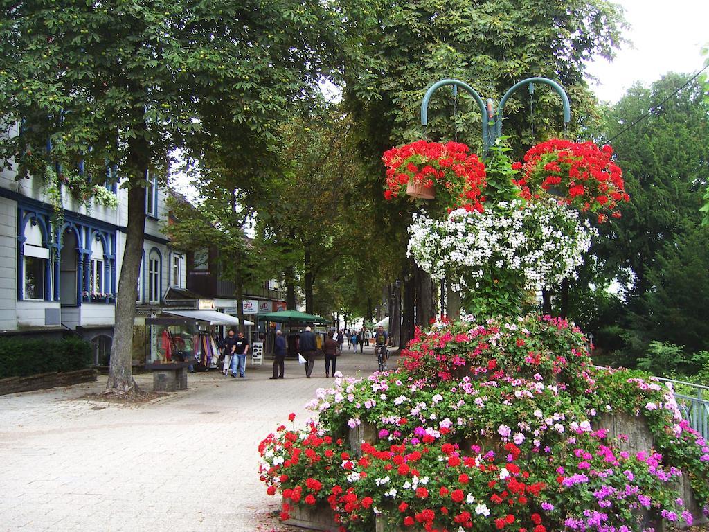 Harzburger Ferienwohnung Bad Harzburg Oda fotoğraf